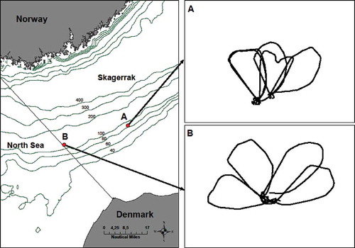 Figure 2. Fishing locations and close-ups of individual hauls. Area A represents the shallower Atlantic Cod–Haddock grounds and area B the deeper Witch Flounder grounds. The two right-hand panels show the vessel tracks for individual hauls.