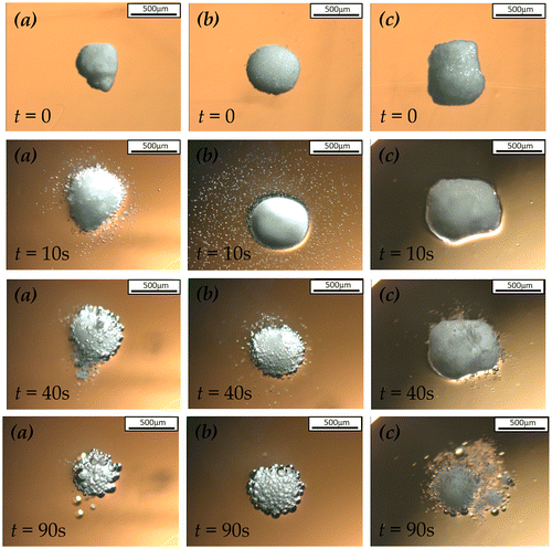 Figure 6. Microscopy images of the dissolution of (a) uncoated (b) sodium sulphate coated SPC at coating/core ratio of 50 wt.% and (c) 1.6R sodium silicate coated SPC at coating/core ratio of 27 wt.% under static condition.