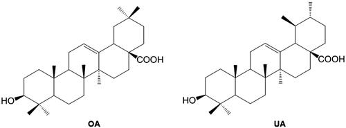 Figure 2. Structures of Oleanolic acid (OA) and Ursolic acid (UA).