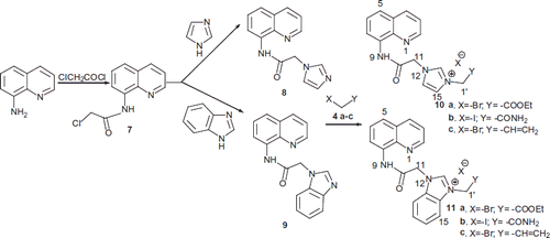 Scheme 2. Synthesis of hybrid Imz (Bimz)/quinoline derivatives 8–11.