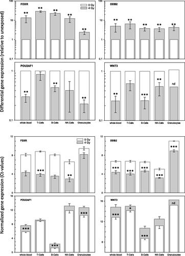 Figure 5. Gene expression measurements of four genes in whole blood and four cell populations. The figure describes fold-differences relative to unexposed in the upper panel and normalized gene expression changes in the lower panel. Upper panel: Differential gene expression of FDXR, DDB2, POU2AF1 and WNT3 was measured in peripheral whole blood and four cell populations of peripheral blood in six healthy donors after irradiation (cell culture). Fold changes were calculated relative to the corresponding unexposed samples used as a reference and set to the value 1. Symbols reflect the geometric mean and error bars show the standard error of mean (n = 6). Missing error bars in irradiated samples (e.g. granulocytes) reflect measurements performed in one individual only (see Supplemental figures). Lower panel: Normalized gene expression (expressed as Ct-values) of FDXR, DDB2, POU2AF1 and WNT3 was measured in peripheral blood and four cell populations of peripheral blood in six healthy donors at 0 Gy (baseline) and 4 Gy. Symbols reflect the geometrical mean and error bars show the standard error of mean (n = 6). Ct-values represent inverse log-2 transformed gene expression changes. For instance, higher Ct-values refer to less RNA copy numbers and the other way around and one Ct-value difference corresponds to two-fold differences in RNA copy numbers. p-Values were calculated between exposed and unexposed samples for each cell population and p-values ≤.05–.01, <.01–.001 and <.0001 are marked with one, two and three asterisks. Abbreviations. nd: not determined, due to missing multiple measurements.