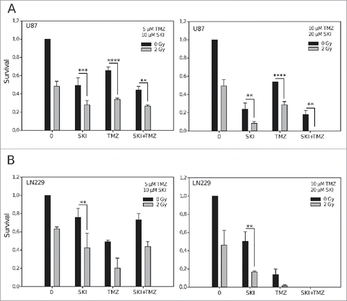 Figure 2. Effect of irradiation, sphingosine kinase inhibitor and temozolomide on clonogenic cell survival. Data are presented as means and standard deviations of clonogenic survival of U87 (A) and LN229 (B) cells after treatment with different concentrations of sphingosine kinase inhibitor (SKI) and/or temozolomide (TMZ) with or without X-ray irradiation (2 Gy). **p < 0.01; ***p < 0.005; ****p < 0.0001 (n = 3, Student's t-test). Significant differences not indicated in the graphs for the clarity are in Fig. 2A: **p (low SKI vs low TMZ), ***p (low TMZ vs low SKI+TMZ; higher TMZ+2Gy vs higher SKI+2Gy), ****p (higher SKI vs higher TMZ; higher TMZ vs higher SKI+TMZ); in Fig. 2B: *p (low SKI vs low TMZ), **p (higher SKI vs higher TMZ), ****p (higher SKI vs higher SKI+TMZ). Differences in conditions not depicted with a p value on the graphs and in the legend are non-significant.