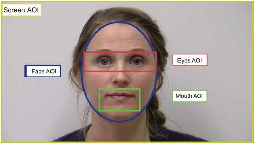 Figure 1. Areas of interest in the spontaneous face gaze.
