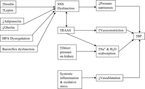 Figure 1. Mechanisms by which obesity induces hypertension.