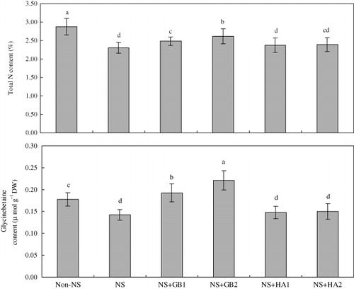 Figure 2. Effects of exogenous GB and HA on total N content in 12-d-old seedlings of maize cv. Zhengdan 958 under NS.Notes: Values represent means±SE (n=8). Bars with the same letters are not significantly different at P<0.05. Details of culture media are given in the legend of Figure 1.
