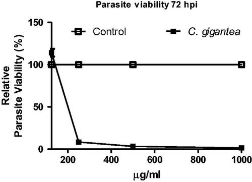 Figure 2. Anti-Toxoplasma gondii activity of C. gigantea oil.