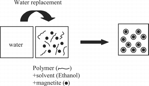FIG. 1 Schematic representation of the preparation of co-polymer coated magnetic nanocomposite particles using the water replacement method.