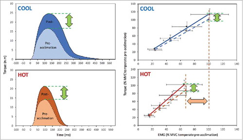 Figure 3. Heat acclimation increases peak twitch amplitude in both normothermic (COOL) and hyperthermic (HOT) state (left panel). Heat acclimation also improves the torque/EMG relationship (right panel). Reproduced with permission from Racinais et al.Citation45
