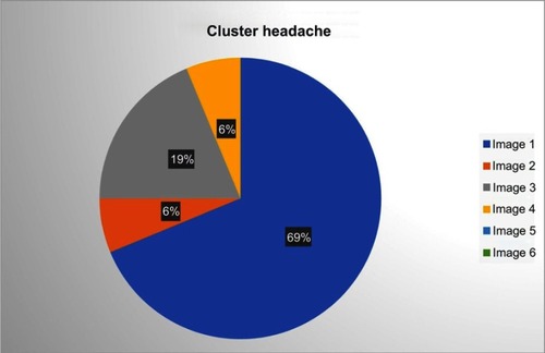 Figure 4 Image selection by participants with cluster headache.