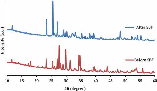 Figure 5. X-ray diffraction patterns of wollastonite composite before and after immersion in SBF