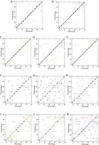 Figure 6. Fisher discriminant analysis of each group and each subgroup. One dot represents one or more sample. The more points that fall in the same position, the darker the colour. The points on the line are the samples with the correct prediction. (A) ARE − group; (B) ARE + group; (C) CC group; (D) BP group; (E) MF group; (F) ARE − CC; (G) ARE − BP; (H) ARE − MF; (I) ARE + CC; (J) ARE + BP; (K) ARE + MF. ARE, adenylate-uridylate-rich element; ARE+, mRNAs with ARE structure; ARE−, mRNAs without ARE structure; CC, mRNAs classified as cellular componentcategory; BP, mRNAs classified as biological process category; MF, mRNAs classified as multiple function category.