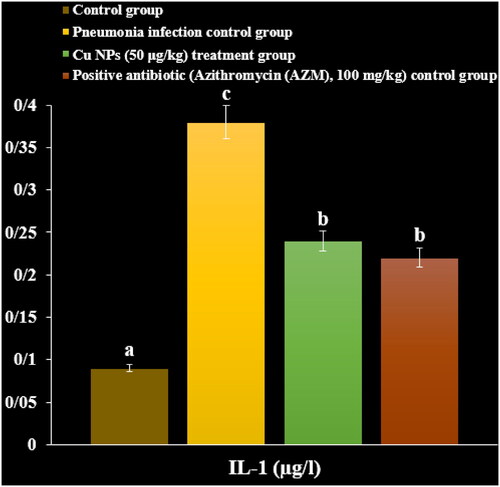 Figure 7. The effect of CuNPs on BALF inflammatory cytokines level (IL-1).