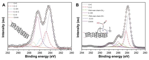 Figure 4 X-ray photoelectron spectroscopy of C1s peaks of (A) GO, and (B) PAA–GO.Abbreviations: GO, graphene oxide; PAA, polyacrylic acid.