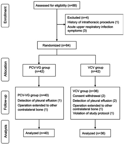 Figure 1 Flow diagram.