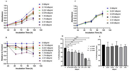 Figure 2. Proliferation of NT2.5 tumor cells. (A) Absorbance, (B) relative to the non-treated controls’ absorbance of the cells and (C) absorbance post overnight incubation with 10µg/ml unlabeled antibody, as a function of incubation time for different 212Pb-conjugated anti-HER2/neu antibody activity concentrations (0-4.63 kBq/ml). (D–E) % Proliferating fraction of NT2.5 tumor cells after 5 days of incubation (D) without blocking and (E) with blocking using 10 μg/ml of cold Ab, as a function of activity concentration (0–4.63 kBq/ml); no statistically significant difference (p > 0.05) across the different activity concentrations and untreated cells was observed. At least three replications for each condition were used and the values represent the mean ± standard deviation.