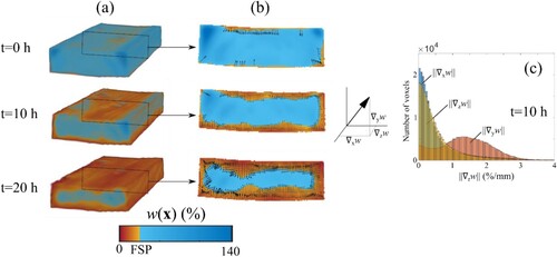 Figure 4. MC and MG estimation: (a) The 3D MC distribution of specimen A3 at times 0, 10, and 20 h during the drying schedule S0. (b) The 2D MC distribution of the same specimen at the same times at z = 150 mm overlapped with its MG vector field computed with Equation (3) and satisfying the condition w(x)<FSP, represented as dark arrows every 2 voxels in the x and y directions. (c) Histograms of the norm of the three orthogonal components of the MG vector field represented at time 10 h in (b).