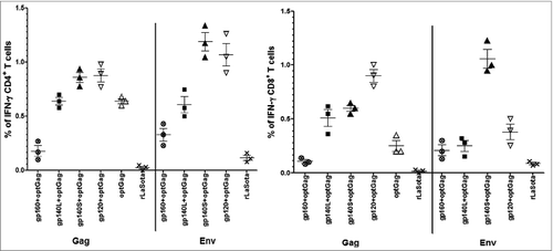 Figure 7. HIV-1 Env- and Gag- specific CD4+ and CD8+ T cell response. Mice in groups of 6 were immunized with 105 PFU/ml of the indicated rNDV either alone or co-immunized with a mixture of 2 rNDVs by the i.n. route on days 0 and 14. On day 56, splenocytes were isolated, stimulated with either a pool of overlapping Env peptides or Gag-specific peptide and processed for intracellular cytokine staining for IFN-γ and CD4 and CD8. The symbols show the results of 3 experiments in each group where spleens from 2 mice were pooled in each experiment.