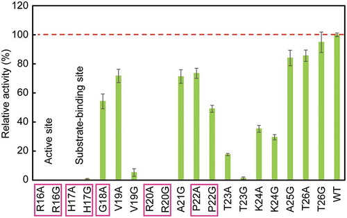 Figure 3. Relative activity of Ala and Gly mutants compared with wild-type AppA. Mutants of conserved residues are boxed, and those of active site and substrate-binding site are designated. The broken line shows the activity of wild type (100%). WT denotes wild type. The activity measurements were carried out five times, and means ± standard errors are shown.