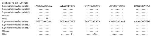 Figure 1. Alignment of DNA sequences for sec genes of three investigated isolates of S. pseudintermedius and reference sequences of S. intermedius canine subtype, and S. aureus sec 1–3 subtype. The EMBL accession numbers of the sec nucleotide sequences used for the alignment are as follows: seccanine, U91526; sec1, X05815; sec2, DQ192646; sec3, X51661. The sequences of the three S. aureus subtypes were merged, since there were not differences in the aligned region as showed here. Dots indicate identity.