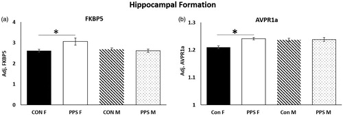 Figure 1. Hippocampal formation. PPS increased expression of (a) FKBP5 and (b) AVPR1a in the female hippocampal formation. Con: control; PPS: pre-pubertal stress; F: female; M: male. Male: 12 control; 10 PPS; female: 8 control; 10 PPS. *p < .05. Error bars represent 1 S.E. and bars joined by a line and asterisk are significantly different to one another.