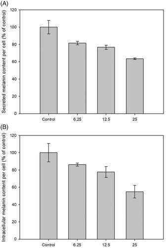 Figure 3. Anti-melanogenic effect of CF-F3 on B16-F10 melanoma cells at 48 h post-treatment with the replacement of medium at 24 h post-treatment. (A) The secreted melanin content of B16-F10 melanoma cells which were treated with CF-F3 at various concentration (x-axis). Secreted melanin inhibition effect which normalized by cells number was represented as percentage of control (y-axis) when compared against untreated cells (control). (B) The intracellular melanin content of B16–F10 melanoma cells which were treated with CF-F3 at various concentration (x-axis). Intracellular melanin inhibition effect which normalized by cells number was represented as percentage of control (y-axis) when compared against untreated cells (control).