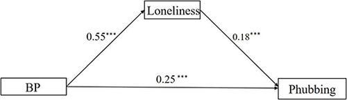 Figure 2 The mediation effect of loneliness.