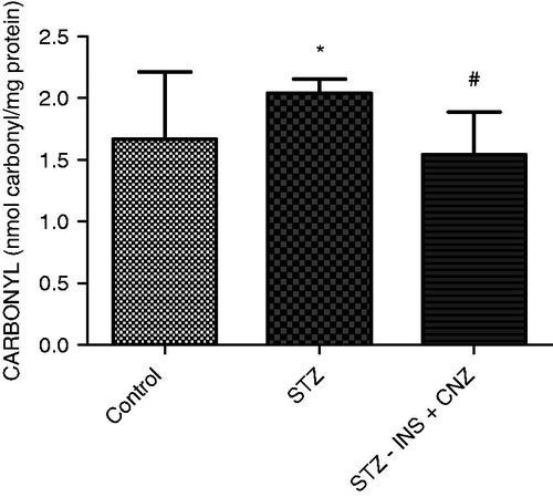 Figure 3.  Measure of carbonyl content in liver from STZ-induced diabetic rats subjected to FST not treated (STZ) and treated with insulin plus CNZ (STZ − INS + CNZ) (n = 12–13) and controls (n = 12). Data represent mean ± S.D. *p < 0.05 compared to the control group; #p < 0.05 compared to the STZ group (ANOVA followed by the Duncan test).