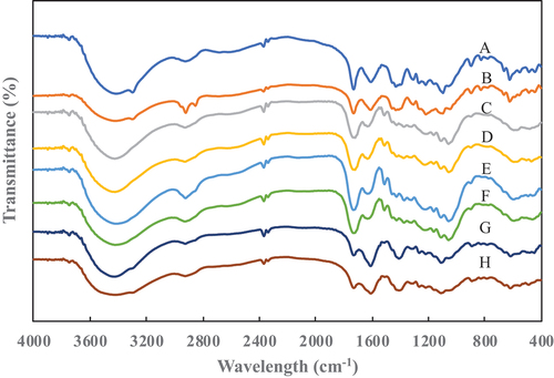 Figure 8. FTIR spectrogram of modified FVB. A: water (30’), B: water (60’), C: 1% NaOH (30’), D: 1% NaOH (60’), E: 1% NaOH + 0.2% Na2SO3 (30”), F: 1% NaOH + 0.2% Na2SO3 (60‘), G: 1% NaOH + 0.4% Na2SO3 (30’), and H: 1% NaOH + 0.4% Na2SO3 (60”).