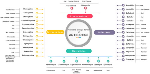 Figure 1. Schematic representation illustrating the commonly used antibiotic groups and their available dosage forms.