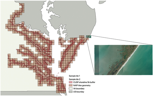 Figure 1. Study area: shoreline (NOAA Citation2021) buffered with 5km distance along the state of Virginia (Runfola et al. Citation2020). Grid represent 2018 NAIP image tiles which intersect with the study area. Two example high-resolution NAIP imagery tiles from the eastern Delmarva Peninsula are also presented.