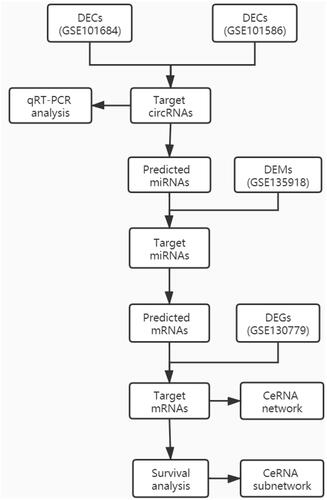 Figure 1 Flow chart of the approach utilized in this study.