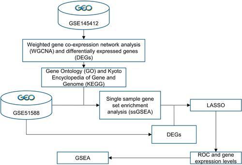 Figure 1 The work-flow of this study.