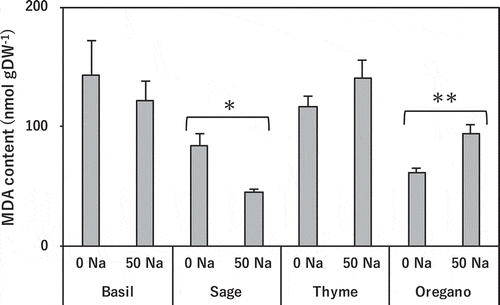 Figure 4. Effect of salinity treatment on leaf MDA content in basil, sage, thyme, and oregano.* and ** indicate significant differences between control and salinity treatment in the same species (t-test; p < 0.05 and p < 0.01). 0 Na; standard nutrient solution (Control), 50 Na; standard nutrient solution containing 50 mM NaCl (Salinity treatment). Error bars in the figure indicate standard errors of four replications.