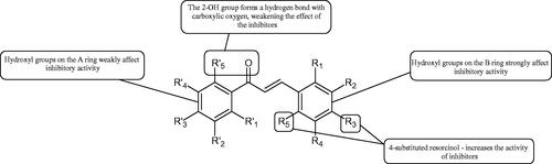Figure 23. Potential groups engaged in an interaction chalcone-tyrosinase.