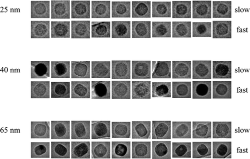 FIG. 2 Transmission electron micrographs for NaCl particles prepared at different drying rates. Images are shown for particles collected by DMA classification at 25-, 40-, and 65-nm dry mobility diameter (+1 charge). Slow and fast drying refers to experiments 1 and 4 of Table 1 (i.e., 5.5 ± 0.9 and 101 ± 3 RH s–1, respectively). Images within one diameter classification are on the same scale; images between diameter classifications are scaled for a common display size.