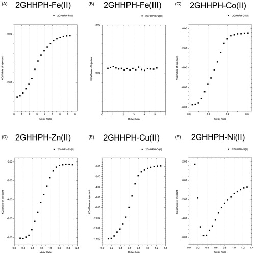 Figure 4. The binding ability of GHHPH peptide to divalent metal. ITC experiments were performed at 25 °C using Microcal iTC200 to determine the binding ability of 2GHHPH peptide to - (A) FeSO4 (7.5 mM), (B) Fe2(SO4)3 (5 mM), (C) CoSO4 (0.625 mM), (D) ZnSO4 (2.5 mM), (E) CuSO4 (1.25 mM), and (F) NiSO4 (1.25 mM). The final data were corrected by subtracting the data of metal ion into PBS.