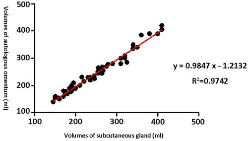 Figure 5 Linear relationship between the volumes of the subcutaneous gland and the autologous omentum.