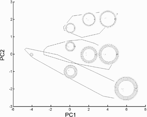 Fig. 29. Reconstructed morphologies of some points in the plane of the first two principal component axes (data shown in Fig. 28). Group outliers of the three morphs are shown. Morphologies were ‘reconstructed’ by projecting PCA scores back into the coordinate system of the original variables and drawing diagrams based on the resulting values (see ‘Materials and methods’ for details). The diagrams are drawn at the same scale. The morphologies shown correspond to PCA scores (−4, 0), (0, −1), (0, 0.5), (0, 1.5), (2, 0), (2, 2), (4, 0), (4, 2) and (6, −2).