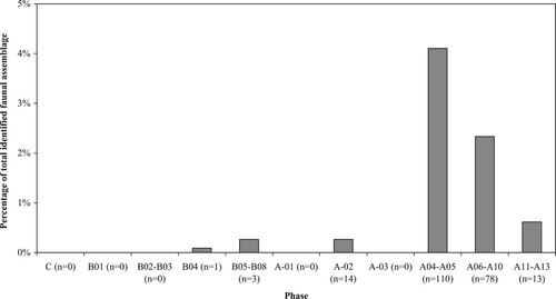 Figure 3 Total proportion of avifauna by phase (based on NISP).