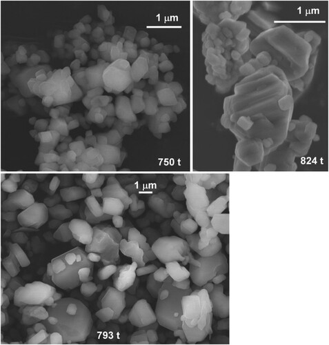 Figure 9. SEM images of products obtained at 750 t/350°C after 3 h, 793 t/350°C after 6 h and 824 t/300°C after 6 h.