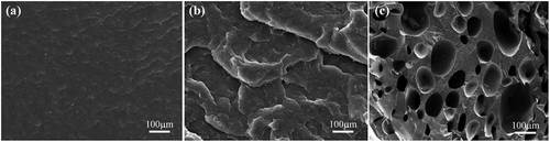 Figure 4. SEM images of the cross-sectional surfaces of antimicrobial plates: (a) neat PBS (without geraniol), (b) solid plate (with 8 wt% geraniol) and (c) porous plate (with 8 wt% geraniol)