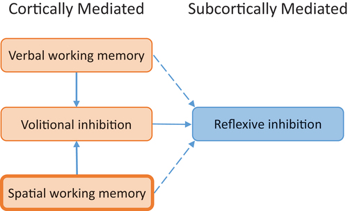 Figure 1. Conceptual framework for working memory and inhibition system interactions.