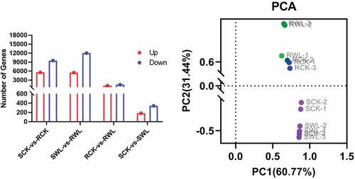 Figure 3. The differences between groups. (a) The number of difference genes in groups. (b) PCA analysis in groups.