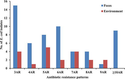 Figure 1 Antimicrobial resistance (AR) patterns of cefotaxime-resistant E. coli isolates from stray dog feces and the environment.