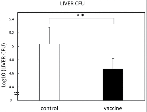 Figure 7. Therapeutic efficacy of pVAX1-HSP65 DNA+IL-12 DNA vaccine on the TB infection in the C57BL/6 mice. Groups of mice were challenged by intravenous injection with 5 × 104 CFU TB, and then treated three times with the vaccine, as described in Material and Methods. Three weeks after challenge, therapeutic efficacy was measured by enumerating the bacterial loads (CFU) in the liver. Results are expressed as the mean log10 ± S.D. of CFU. The statistical significance of difference between vaccinated group (■) and control group (□) was determined by student's test (n = 10). * p<0.01: the statistical significance of differences of vaccinated group to control group.