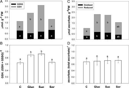 Figure 4. Effect of sugar treatment on glutathione and ascorbate content in the second pair of leaves incubated for 24 hours with either water (C) or 200 mM sugar solutions: glucose (Gluc), sucrose (Suc) and sorbitol (Sor). (A) Reduced glutathione (GSH grey bars) and oxidized glutathione (GSSG black bars). (B) GSH. (GSH+ GSSG)−1 ratio. (C) Reduced ascorbate (grey bars) and oxidized ascorbate (black bars). (D) ascorbate. (total ascorbate)−1 ratio. Results are means from 12 plants ± SE of four independent experiments. Different letters indicate significant differences from controls (P < 0.05, DGC).