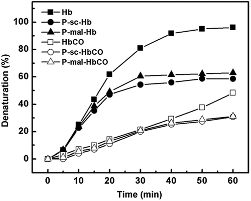 Figure 6. Thermal stability of the Hb and HbCO samples as a function of incubation time. The samples were heated at 65°C in a water bath for different incubation time.
