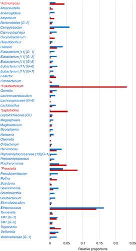 Fig. 2.  Dental plaque bacterial genera composition by HOMINGS with added taxa identification capacity compared to HOMIM. *HOMINGS microbiome profiling of dental plaque samples from a patient cohort (n=96) shows a large increase (>100%) in the detection of Actinomyces, Fusobacterium, Leptotrichia, and Prevotella genera compared to HOMIM, likely due to additional genera probes. Relative proportions per genus were calculated based on total hits by HOMINGS or total intensity scores by HOMIM per 96 patients. Genera accounting for 96% of total hits by HOMINGS are represented.