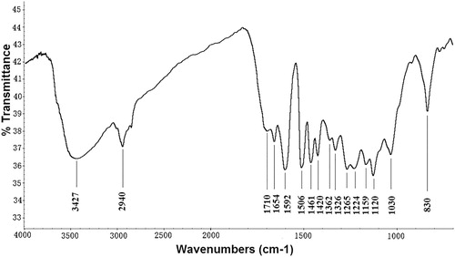 Figure 1. FT-IR spectrum of lignin fraction isolated from bamboo D. sinicus.