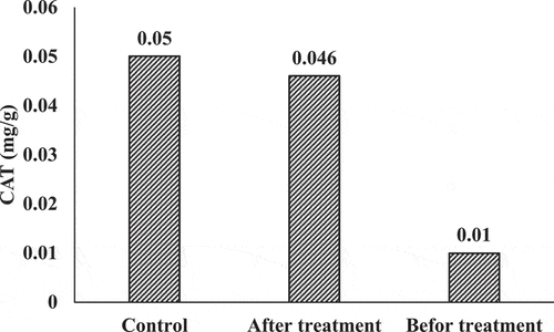 Figure 8. Catalase activities of lemna minor plants subjected to effluents and Steinberg’s solution (control) for a period of five days